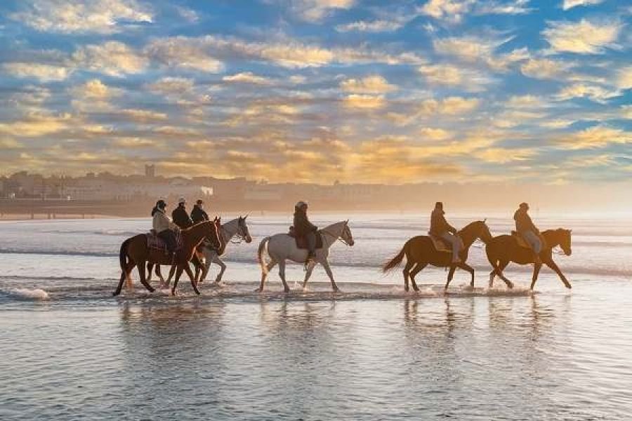 Marrakech : Excursion d’une journée à Essaouira avec promenade à cheval