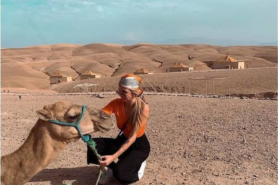 Marrakech : Désert d'Agafay, balade à dos de chameau et dîner berbère