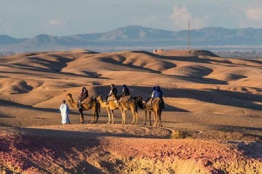 Marrakech : Dîner-spectacle dans le désert d'Agafay avec balade à dos de chameau au coucher du soleil