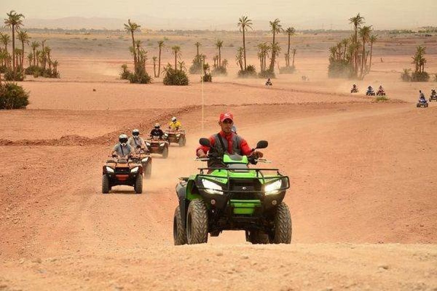 Marrakech Guided quad tour of the Palmeraie with tea break