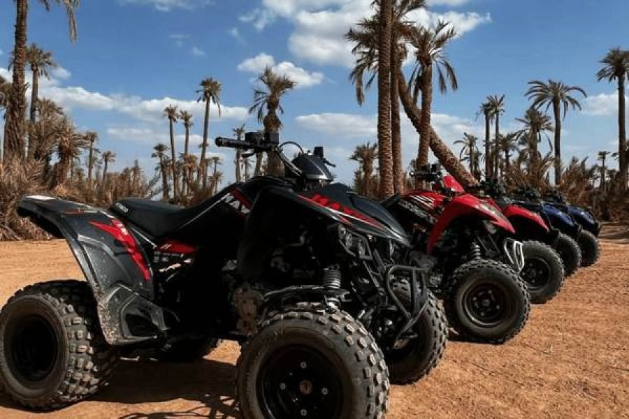 Marrakech Palmeraie Dunes by quad with tea