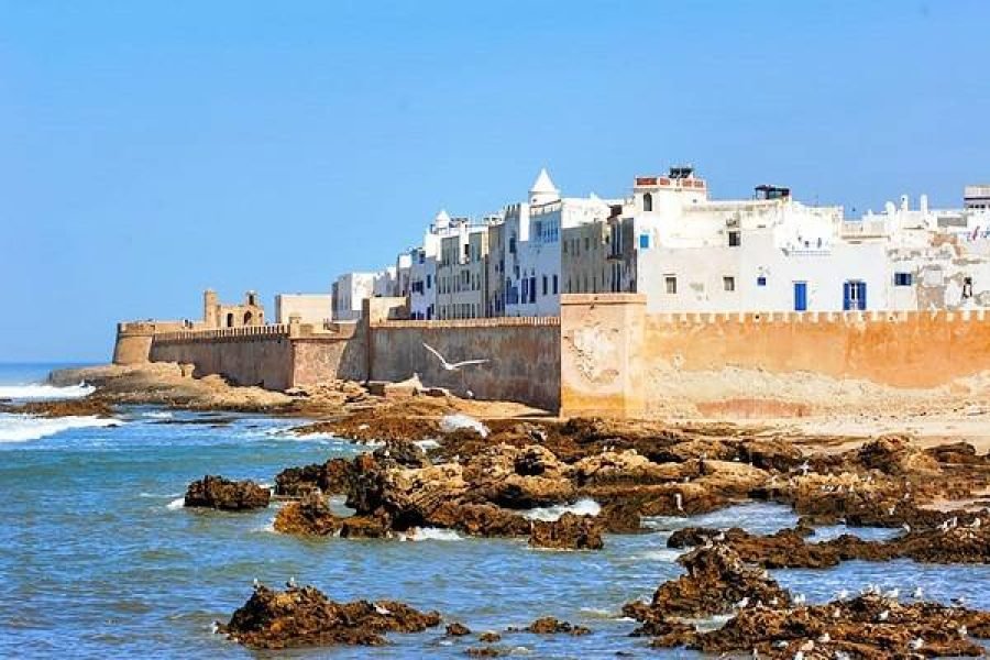 From Marrakech: Essaouira Day Trip