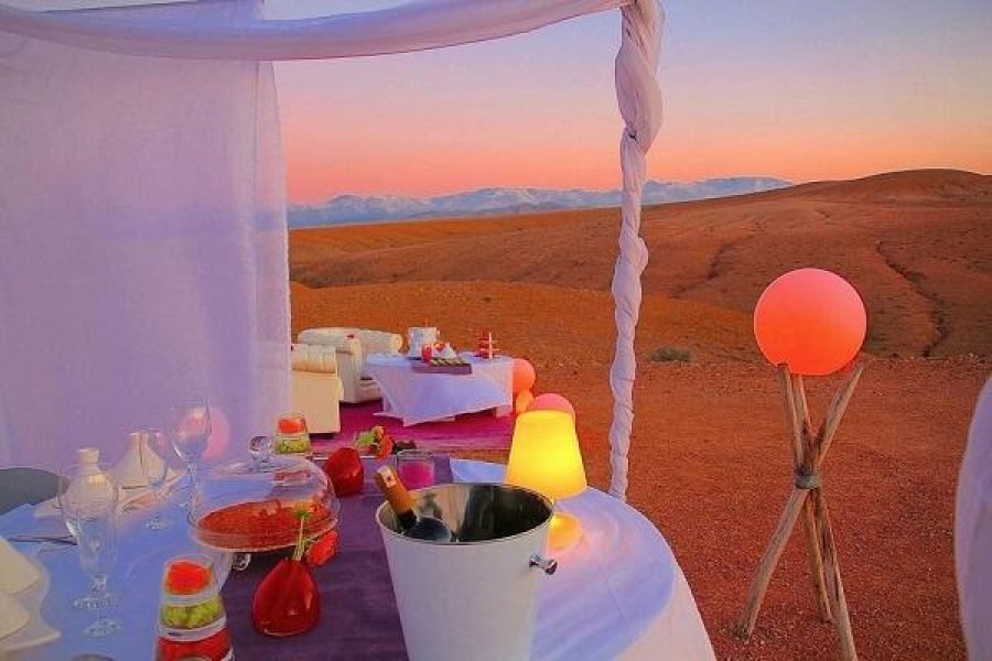 From Marrakech Magical Agafay Desert Camel Dinner