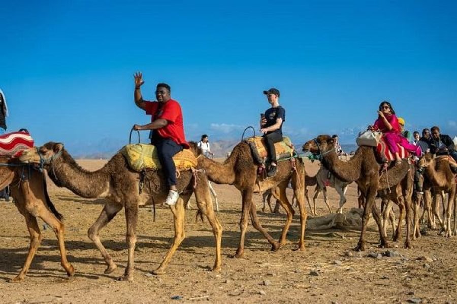 From Marrakech: Sunset Desert Excursion with Camel Ride and Dinner