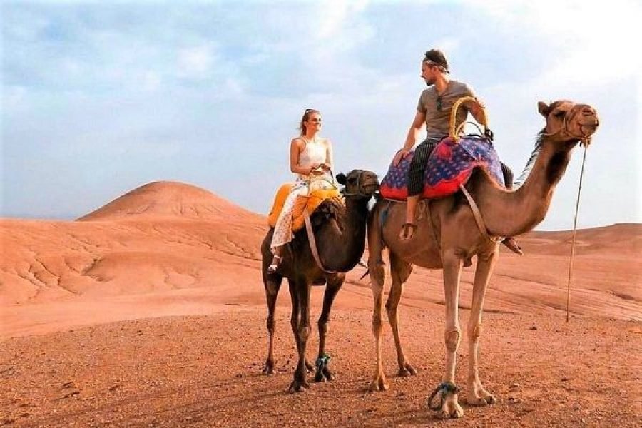 From Marrakech Sunset Dinner in the Agafay Desert and Camel Ride